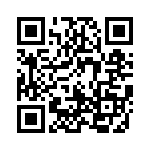 171684K400Q-F QRCode