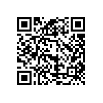 172-025-283L031 QRCode