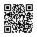 1720288 QRCode