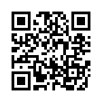 1720641010 QRCode