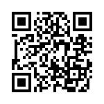 17211101101 QRCode