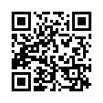 172133 QRCode