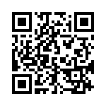 1721590210 QRCode