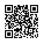 17281-2PG-3ES QRCode