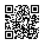 17473C QRCode