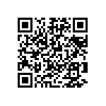 178-025-613R451 QRCode