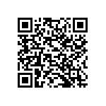 178-025-613R491 QRCode