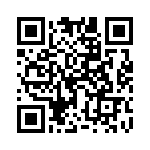 17880-4PG-300 QRCode