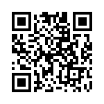 17882-4SG-300 QRCode