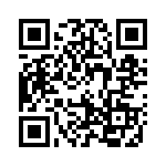 19041353 QRCode