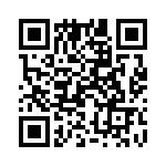 192900-0430 QRCode