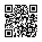 19300240538 QRCode