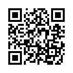 19396100547 QRCode