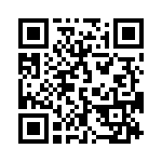 19396160445 QRCode