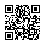 1945R-13J QRCode