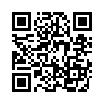 19461100291 QRCode