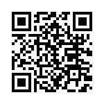 19463100293 QRCode