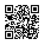 19501331 QRCode