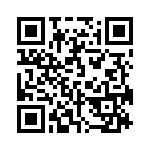 1PMT4111-TR13 QRCode