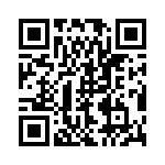 1PMT4130-TR13 QRCode