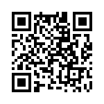 2-1734857-4 QRCode