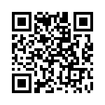 2-284866-3 QRCode