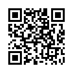 2-917360-0 QRCode