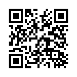 200346-4 QRCode