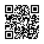 20101250301P QRCode