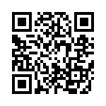 20101250431P QRCode