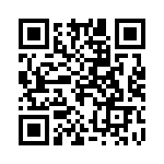 20104000001P QRCode