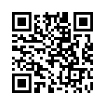 20111250001P QRCode