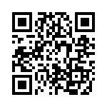 2013W QRCode