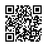 201R07S0R2BV4T QRCode