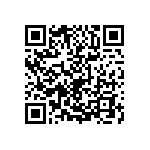 2220Y0250223KFT QRCode