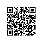 2225J0250334KDR QRCode