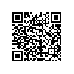 2225Y2000272KFT QRCode