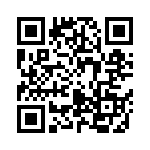 24291-31SG-300 QRCode