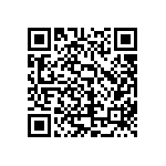 250MXG1000MEFCSN30X40 QRCode