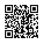 250R05L100GV4T QRCode