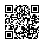 250R05L100KV4T QRCode