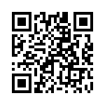 250R05L101FV4T QRCode