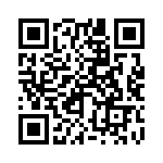 250R05L510JV4T QRCode