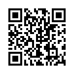 250R05L820GV4T QRCode