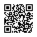 250R05L910GV4T QRCode