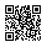 2903804 QRCode