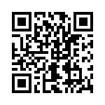 2904255 QRCode