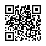 2904268 QRCode