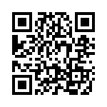 2905807 QRCode