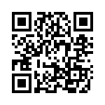 2906195 QRCode